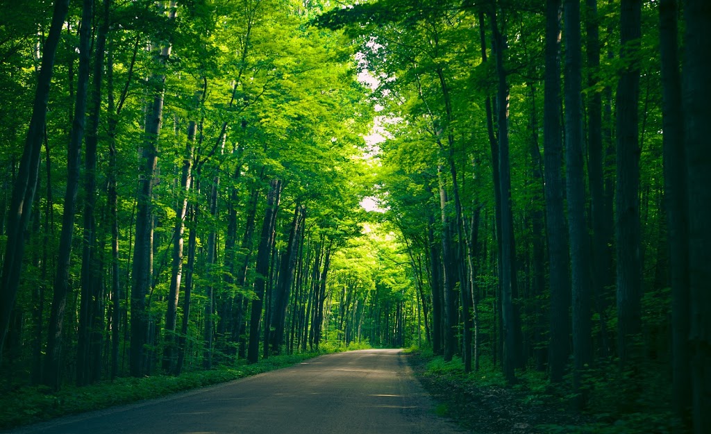 Wolf Campground | Tiny, ON L9M 1R2, Canada | Phone: (705) 549-2231