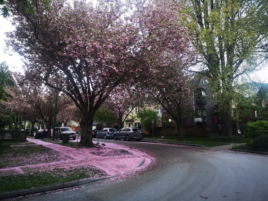 Victoria Park | 1425 Victoria Dr, Vancouver, BC V5L 4G9, Canada | Phone: (604) 257-8158