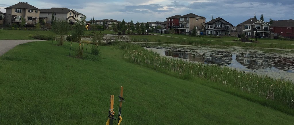 Langdale Park | 1925 170 St SW, Edmonton, AB T6W 1A6, Canada