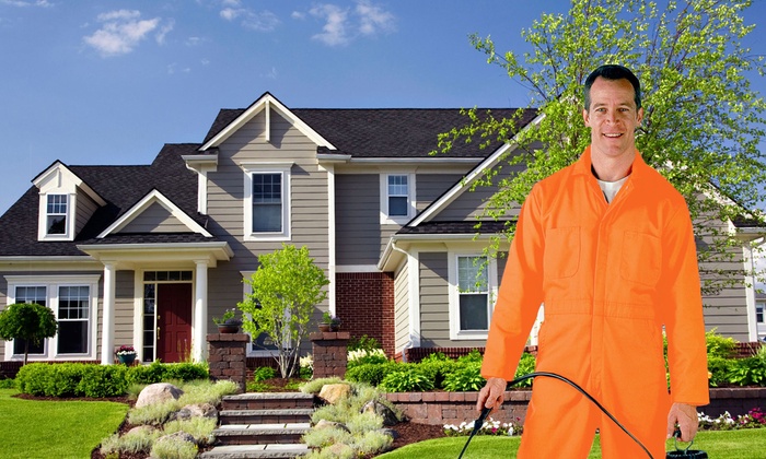 Pest control Abbotsford | Activebc Pest Exterminators Ants ,Bed  | 36397 Samtree Pl, Abbotsford, BC V2G 2M5, Canada | Phone: (778) 695-7777