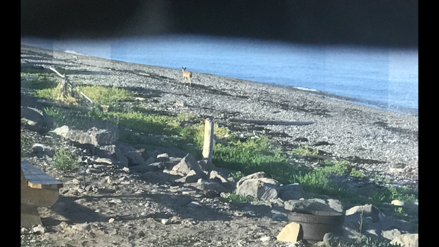Point Cross Beach RV Park | 14161 Cabot Trail, Point Cross, NS B0E 1H0, Canada | Phone: (902) 877-2071