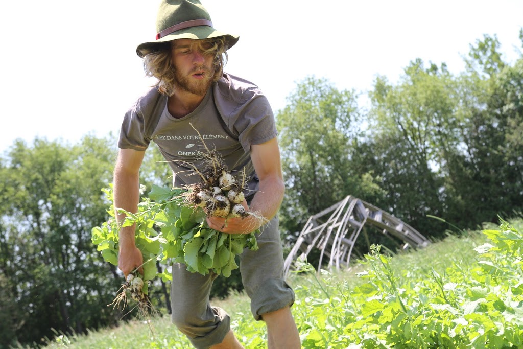 Les Jardins en Mouvement | 2766 Chemin Noiseux, Dunham, QC J0E 1M0, Canada | Phone: (514) 781-2244