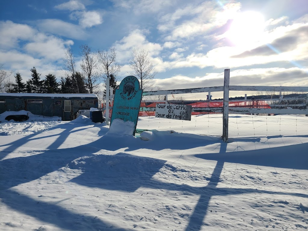 Centre Equi-Nature | 276 Rue Principale, Saint-Nazaire, QC G0W 2V0, Canada | Phone: (418) 669-3427