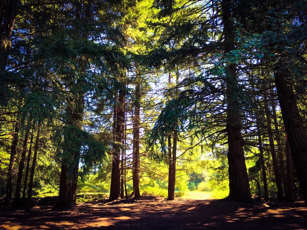 Diver Lake Park | 2430 Black Franks Dr, Nanaimo, BC V9T 3K5, Canada | Phone: (250) 754-4251