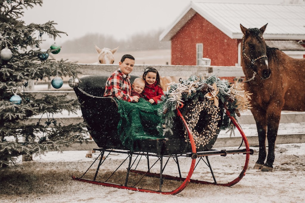 The Meadows Ranch Photography | 27301 rr 580, Busby, AB T0G 0H0, Canada | Phone: (780) 972-7239