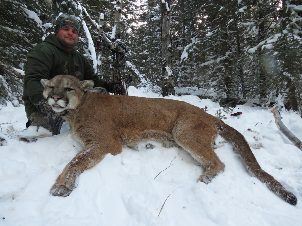 Nelson Blue Ridge Outfitters | Box 101, Longview, AB T0L 1H0, Canada | Phone: (403) 558-2433