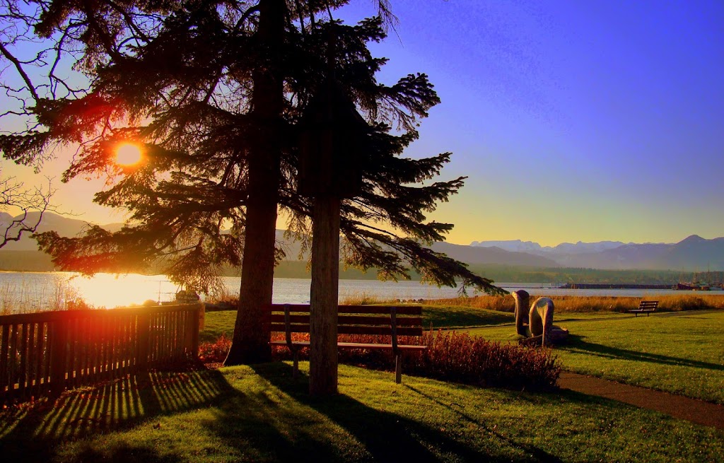 Pacific Mural Art | 1400 B Marsland Pl, Courtenay, BC V9N 8X7, Canada | Phone: (250) 897-6950