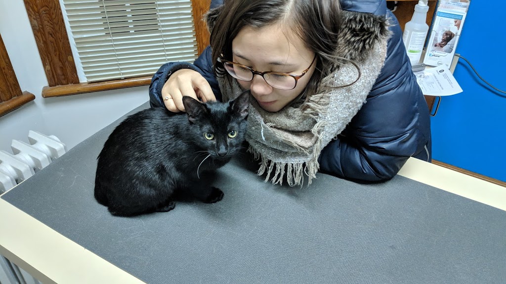 Globalvet - Veterinary Clinic Ancienne-Lorette | 1730 Rue Notre Dame, LAncienne-Lorette, QC G2E 3C2, Canada | Phone: (418) 877-0104