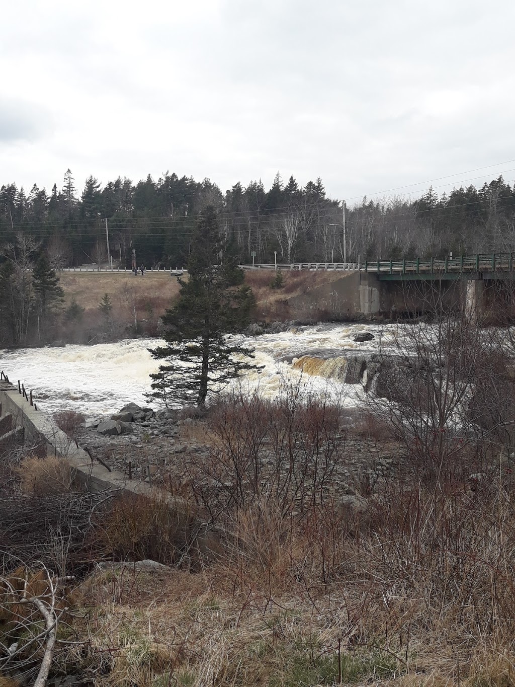 Fairwinds Motel & Restaurant | 22522 Main St, Sheet Harbour, NS B0J 3B0, Canada | Phone: (902) 885-2502