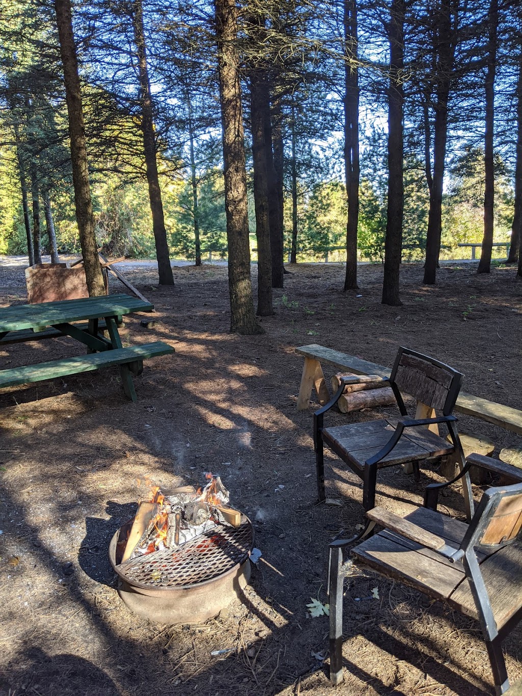Tree Lane Farms | 13073 Twelve Mile Rd, Ilderton, ON N0M 2A0, Canada | Phone: (519) 666-0154