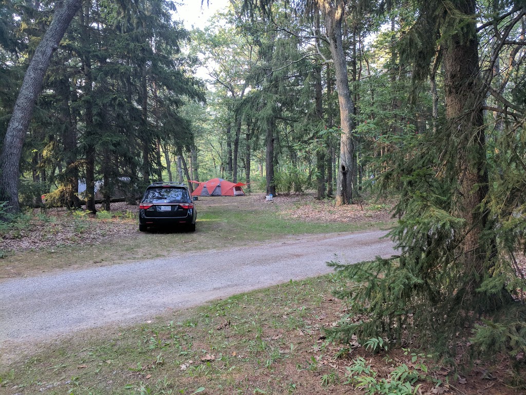Turkey Point Camp | 194 Turkey Point Rd, Turkey Point, ON N0E 1T0, Canada | Phone: (519) 426-3239