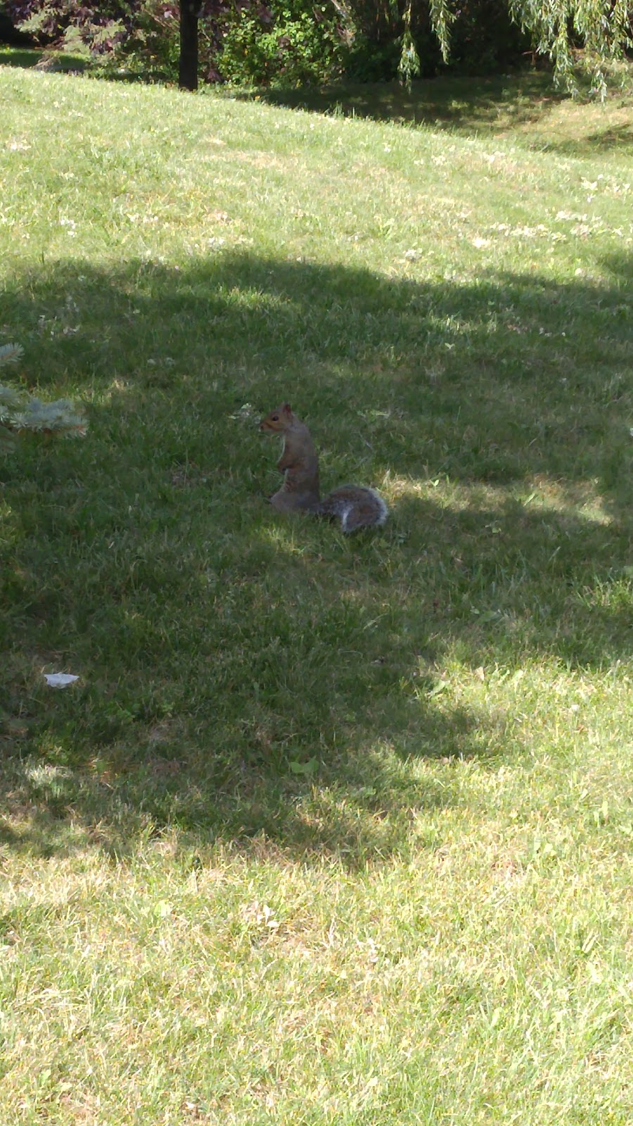 Parc Félix-Leclerc | Lasalle, Montreal, QC H8N 2T9, Canada