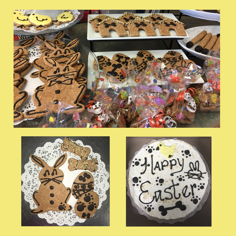 Treats Unleashed Inc | 910 Millersport Hwy, Amherst, NY 14226, USA | Phone: (716) 831-1350