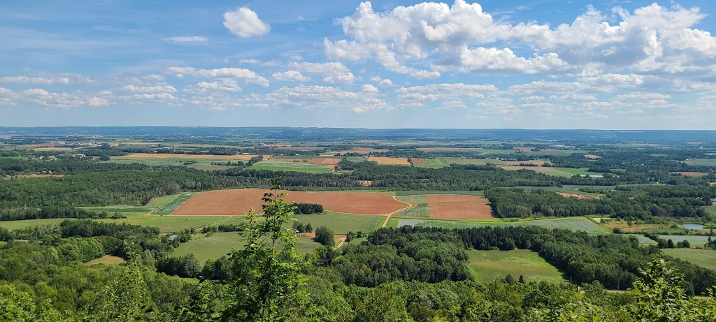 Delhaven Farms Ltd | 1624 Gospel Woods Rd, Canning, NS B0P 1H0, Canada | Phone: (902) 582-3566