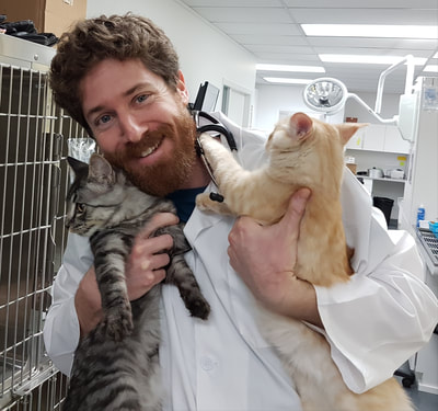 RAPS Animal Hospital | 13340 Smallwood Pl #205, Richmond, BC V6V 1W8, Canada | Phone: (604) 242-1666