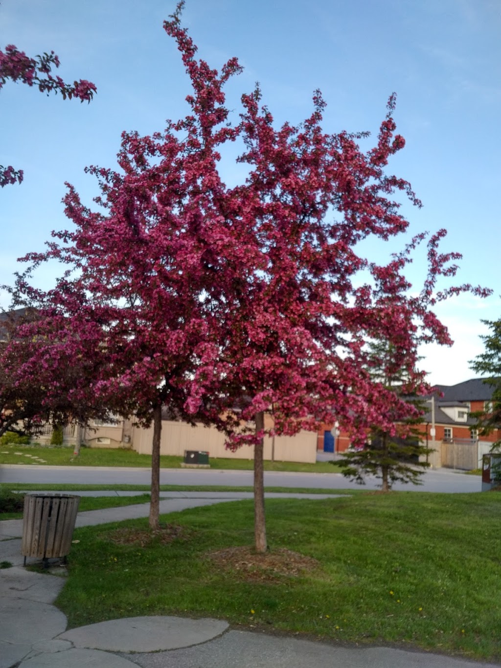 Dr. James Langstaff Community Park | Bayview Glen, Richmond Hill, ON L4B 4L3, Canada