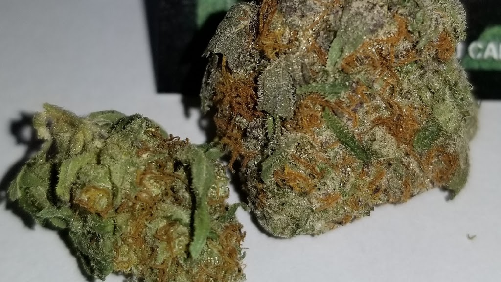 The High Times Station | 531 Caldwell Rd, Cole Harbour, NS B2V 2P8, Canada | Phone: (902) 435-8262