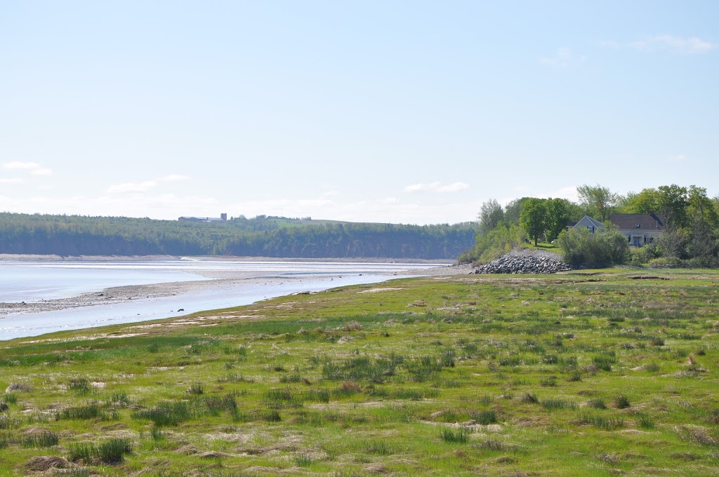 The Tidal Life Guesthouse | 78 Cedar Rd, Maitland, NS B0N 2H0, Canada | Phone: (902) 957-1524