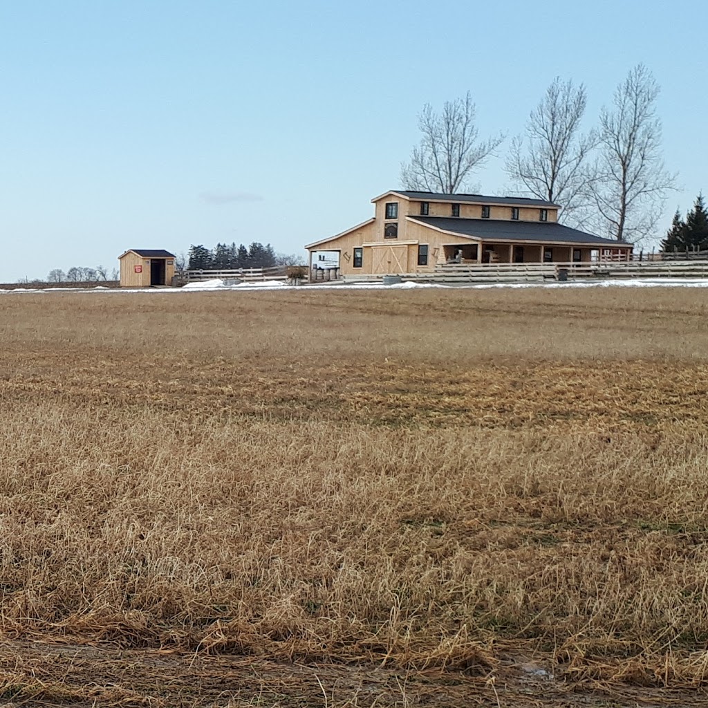 Applewood Farm & Winery- North of Port | 2055 Saintfield Rd, Sunderland, ON L0C 1H0, Canada | Phone: (905) 642-4720