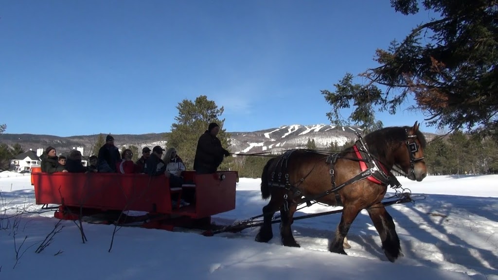 Tremblant Sleighrides | Chemin des Saisons, Mont-Tremblant, QC J8E 1G1, Canada | Phone: (819) 681-4848