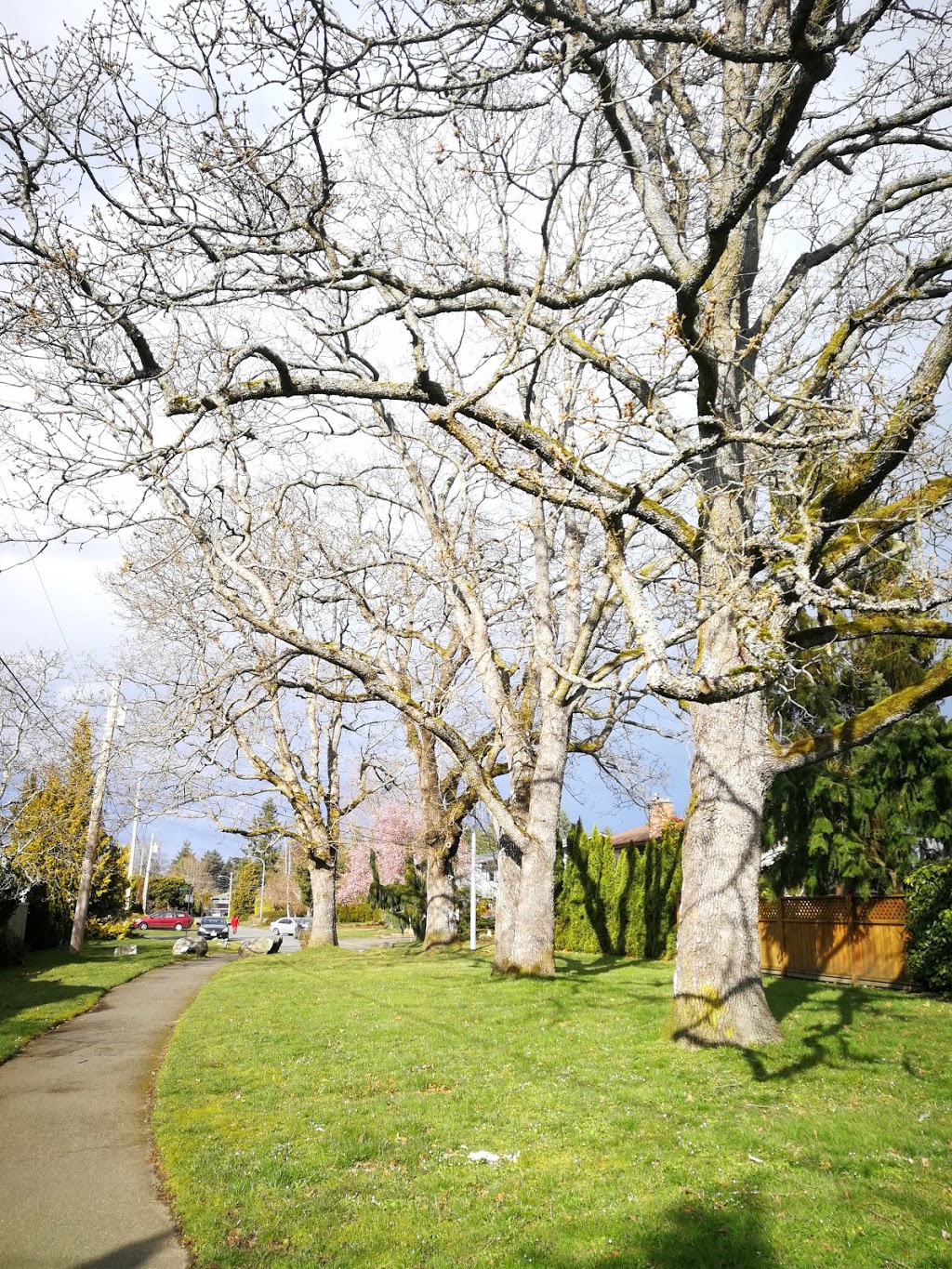 Khloe Park | Victoria, BC V8N 2L6, Canada