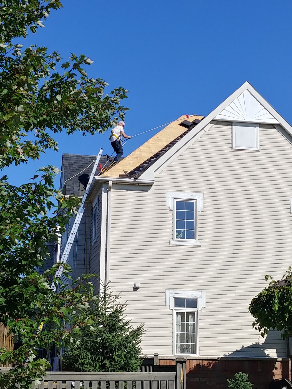 Newfs on Roofs | 188 Glenwood Crescent, Oshawa, ON L1G 3B1, Canada | Phone: (416) 525-6122