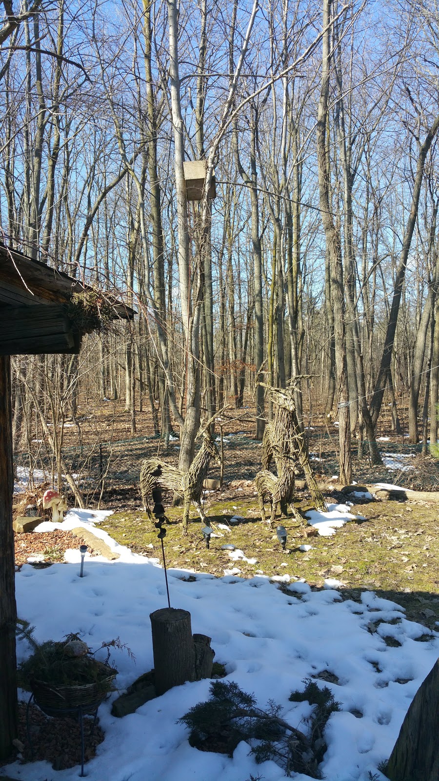 the "hoblet" at Natures Energy Centre & Sanctuary | 9580 Lincoln St, Welland, ON L3B 5N7, Canada | Phone: (905) 941-8803