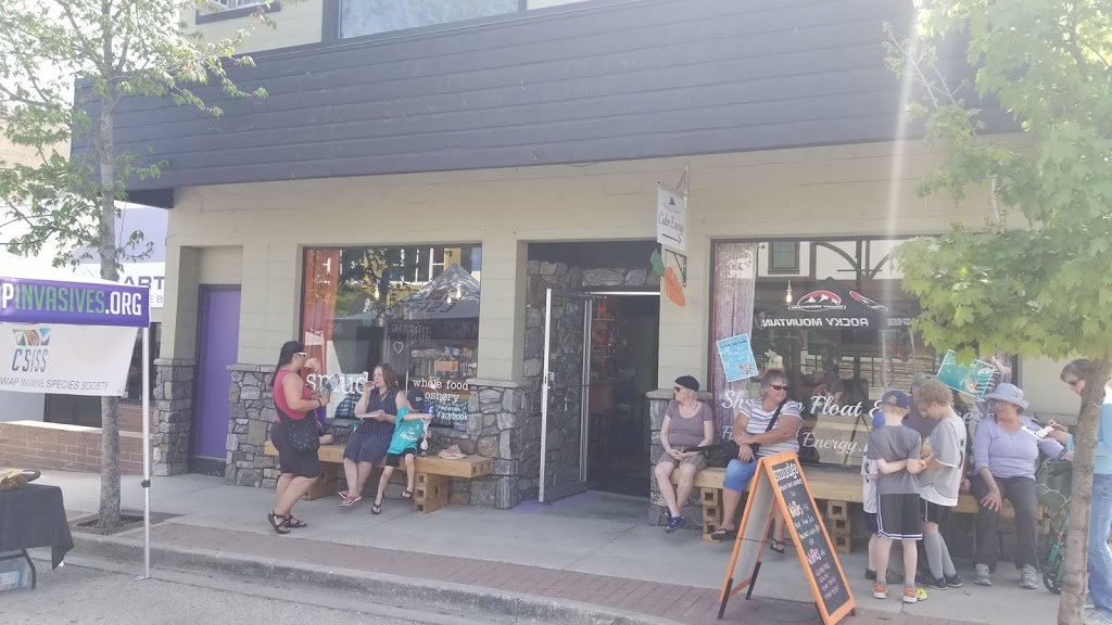 The Lotus Collective | 140 Hudson Ave NE, Salmon Arm, BC V1E 4H7, Canada | Phone: (250) 803-9194
