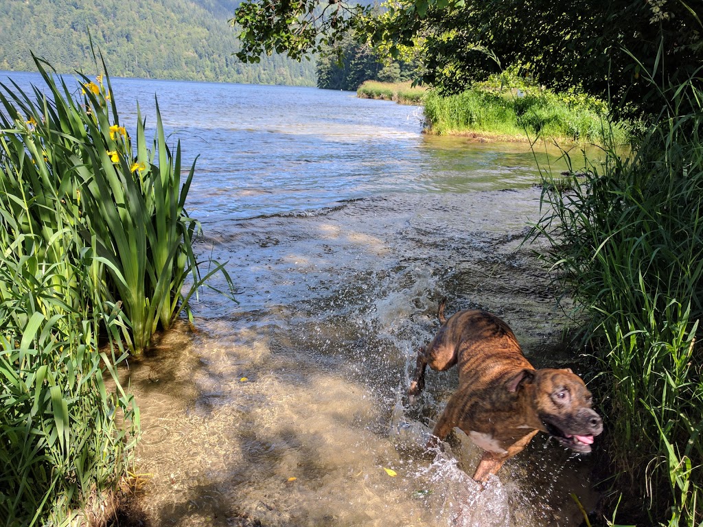 Sudden Valley Dog Park | Marina Dr, Bellingham, WA 98229, USA