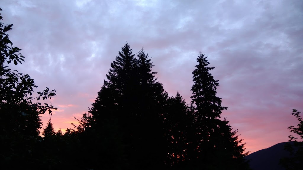 Lakeview Park Campsite | 8815 Lakeview Park Rd, Lake Cowichan, BC V0R 2G0, Canada | Phone: (250) 749-3350