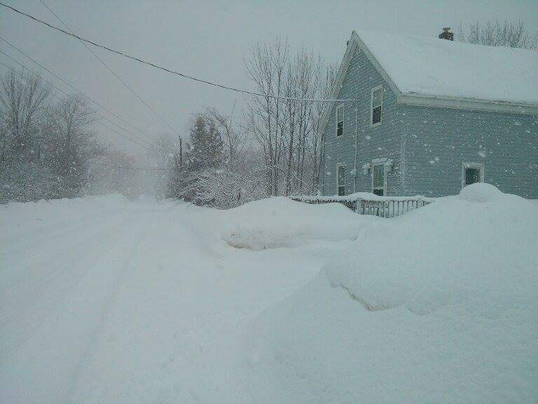 Maddys Place | 51 Block Wharf Rd, Summerville, NS B0N 2K0, Canada | Phone: (289) 689-9422