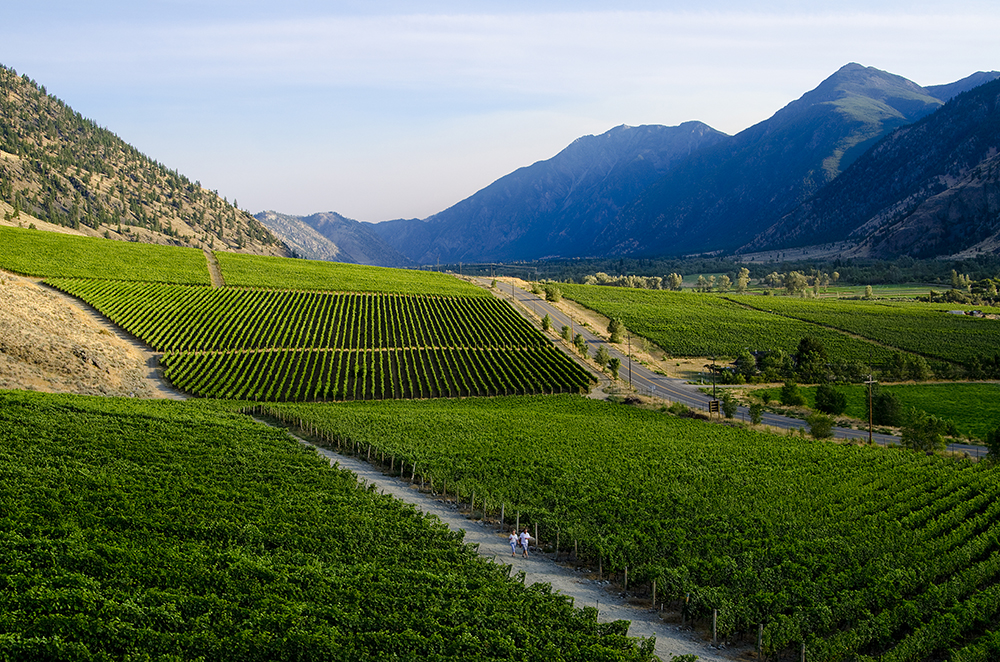 Vanessa Vineyard | 1090 BC-3, Cawston, BC V0X 1C3, Canada | Phone: (250) 499-8811
