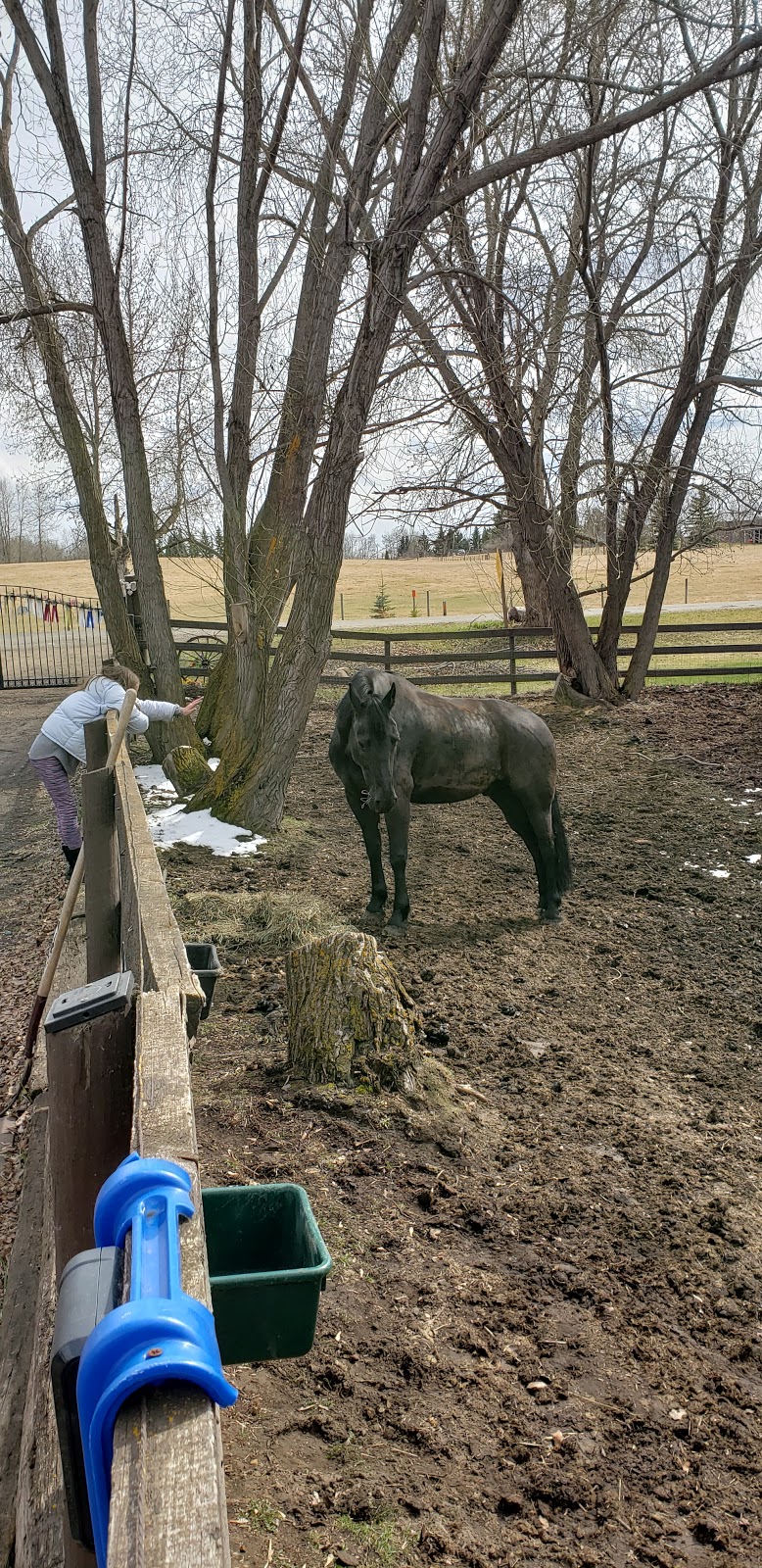 Riverview Riding and Respite | 2-6 Upland Dr, Spruce Grove, AB T7Y 1B9, Canada | Phone: (780) 719-9982