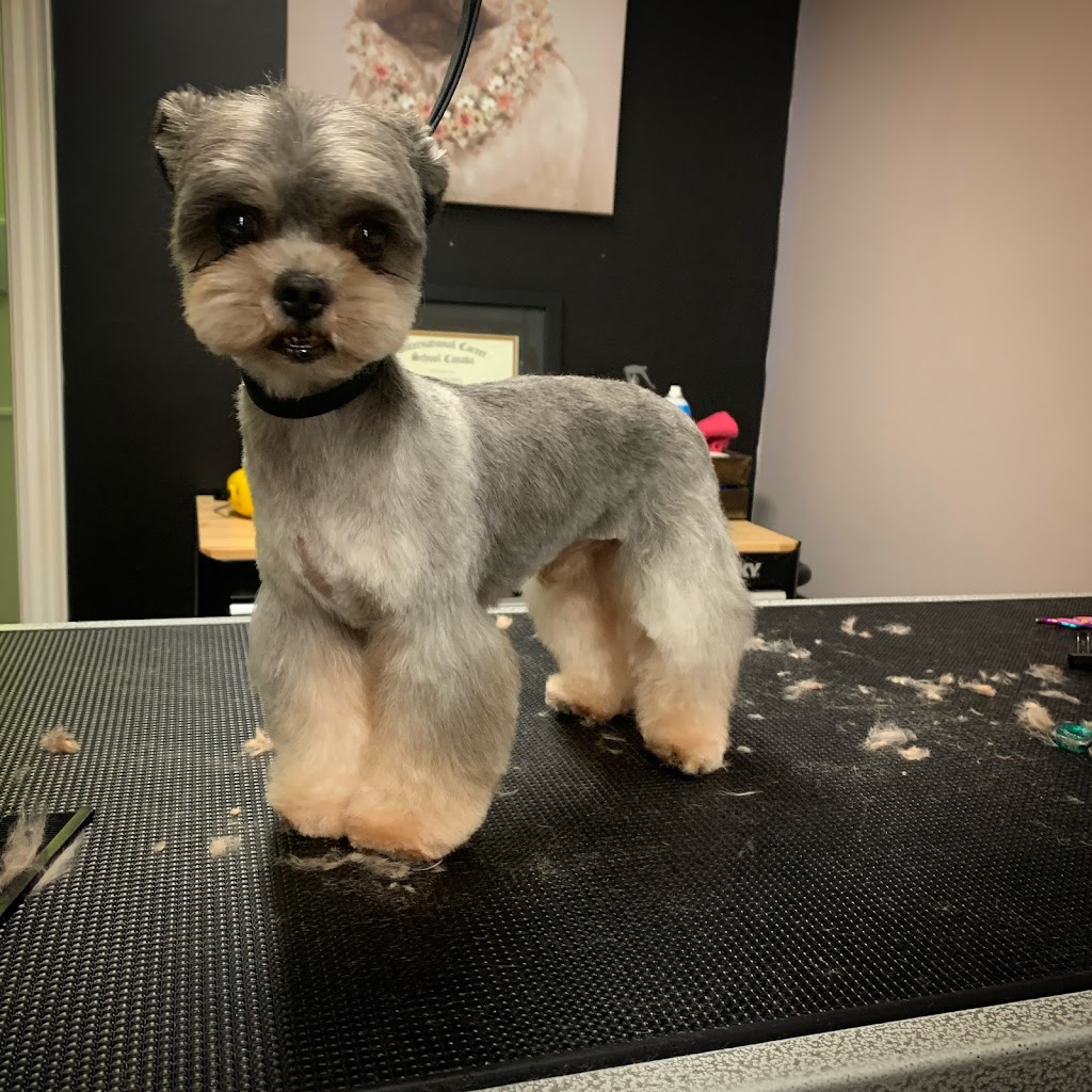 The Pawlour | 21 Temperance St, Bowmanville, ON L1C 1A1, Canada | Phone: (905) 242-7202