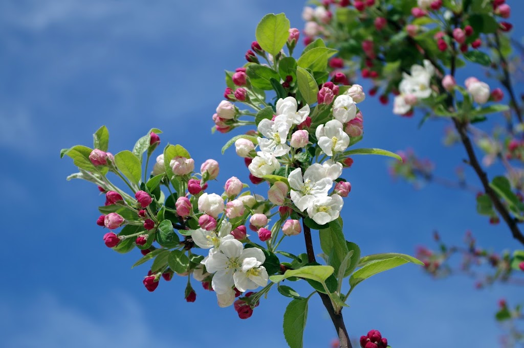 Violet Grove Farms | 1590 Wain Rd, North Saanich, BC V8L 5S8, Canada | Phone: (250) 508-4805