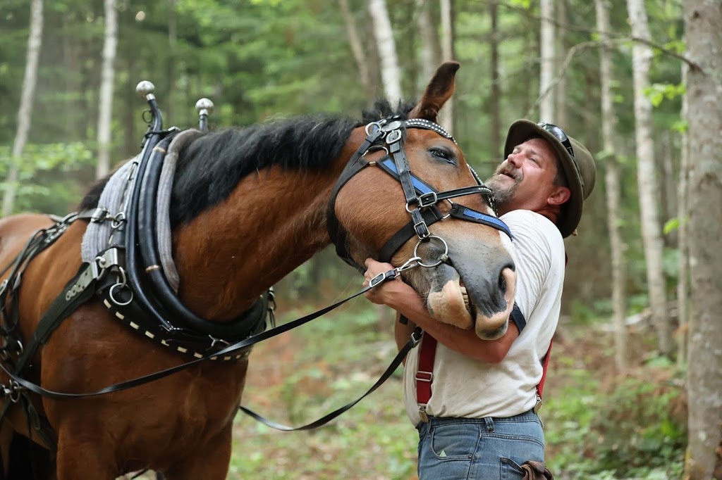 Belding Hill Farms | 404 Ravine Rd, Norton, NB E5N 7S9, Canada | Phone: (506) 832-3752