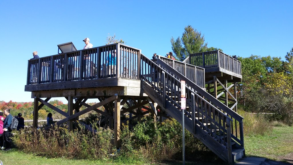Vista Trail Trailhead | 1749 Meadowvale Rd, Scarborough, ON M1B 5W8, Canada | Phone: (416) 264-2020