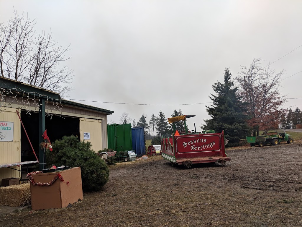 Twinkle Trees | 3906 Mountain Street Opposite, Albright Gardens, Beamsville, ON L0R 1B0, Canada | Phone: (416) 545-7245