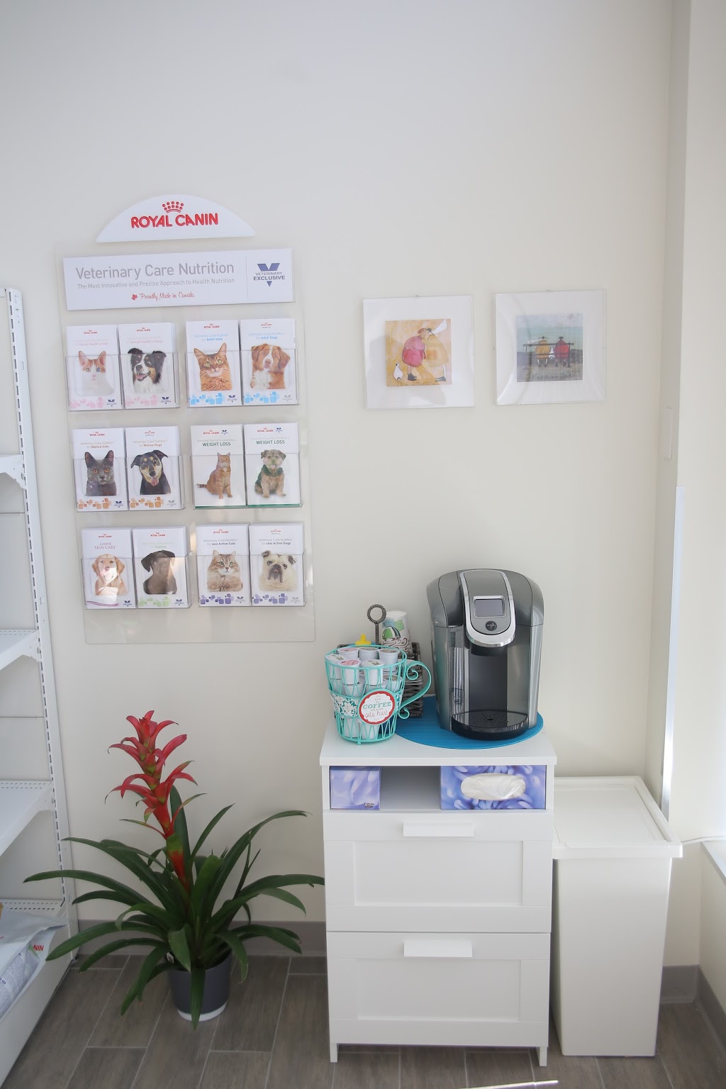 Steeles-Yonge Animal Hospital | 180 Steeles Ave W #15, Thornhill, ON L4J 2L1, Canada | Phone: (905) 597-8387