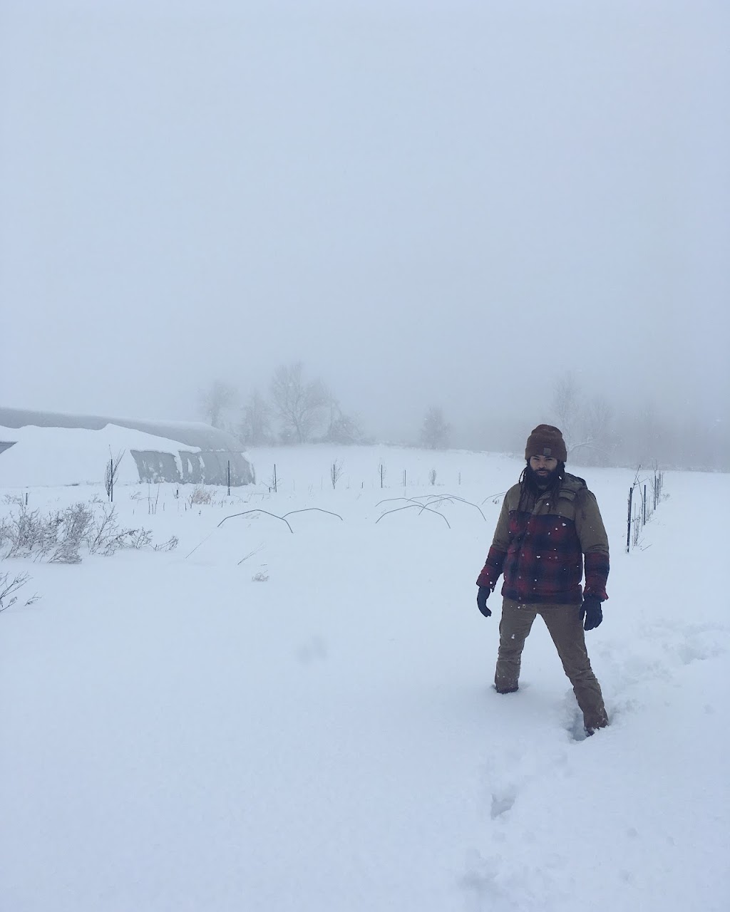 Foragers Farms | 3517 Rowe Rd, Cobourg, ON K9A 4J7, Canada | Phone: (905) 999-3243