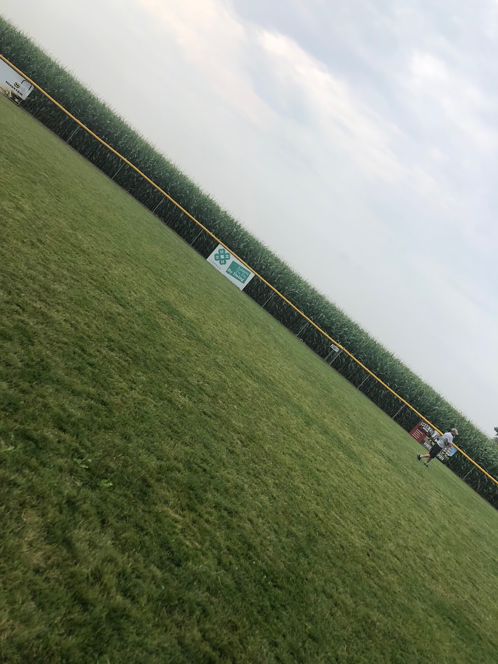 Field Of Dreams | 676217 16 Line, Bright, ON N0J 1B0, Canada | Phone: (519) 535-1259
