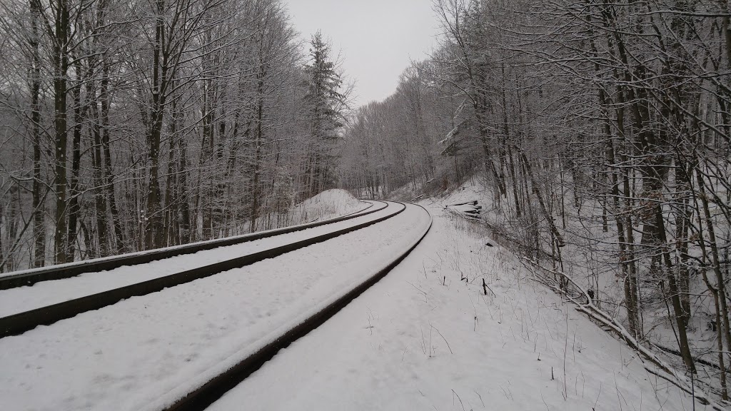 Rockcliffe Trails | Rockcliffe Rd, Hamilton, ON L9H 7H6, Canada