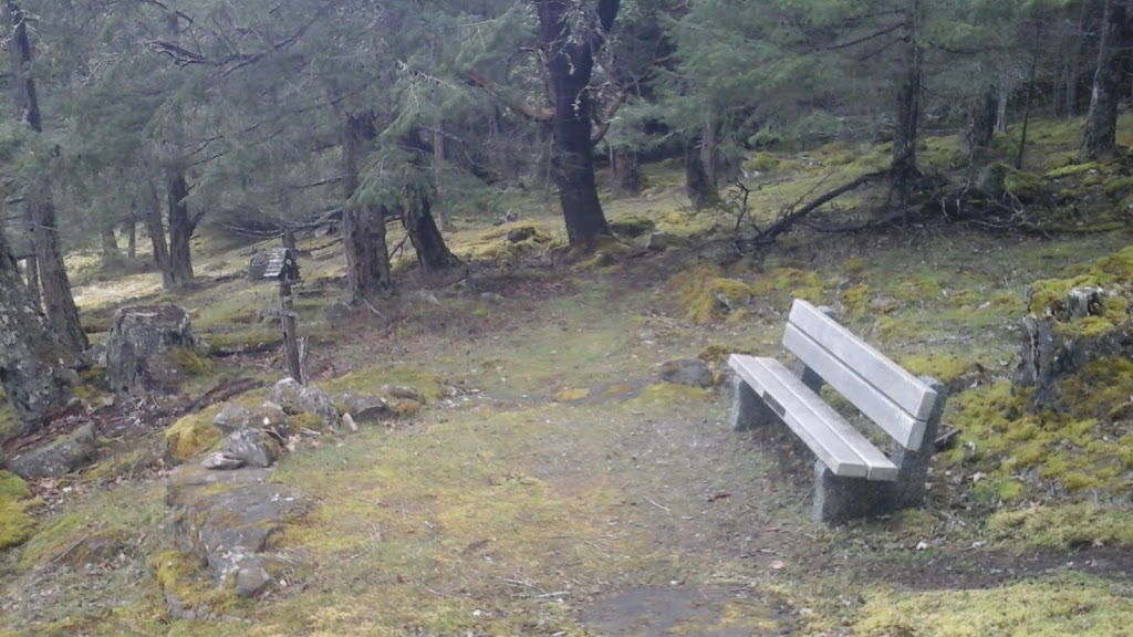 Breezy Bay Bed & Breakfast | 131 Payne Rd, Saturna, BC V0N 2Y0, Canada | Phone: (250) 539-5957
