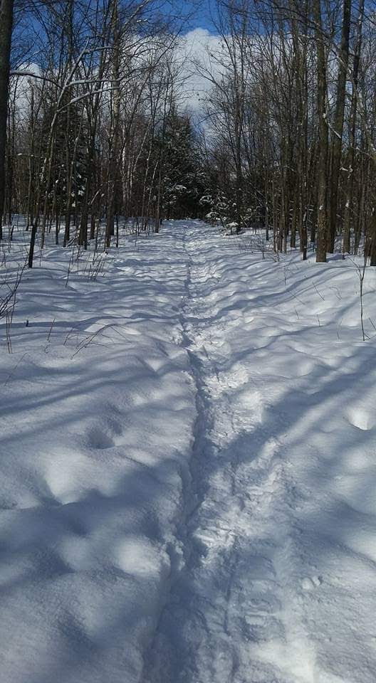 Langdon Park | 2653-2747 Martin Rd, Blezard Valley, ON P0M 1E0, Canada