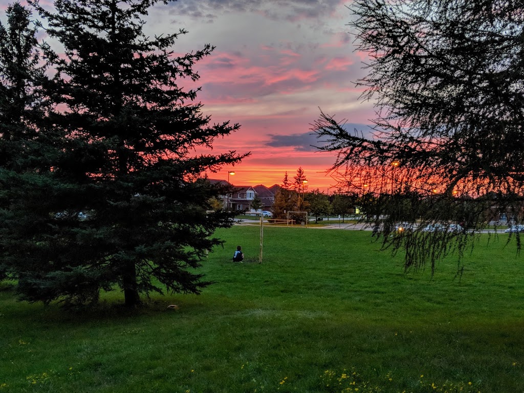 Maple Airport Park | 121 Avro Rd, Maple, ON L6A 1Y2, Canada | Phone: (905) 832-2281