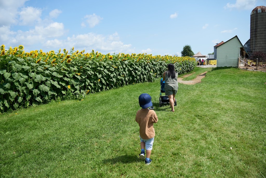 Braggs Wild Bird Seed | 3048 Concession Rd 3, Bowmanville, ON L1C 3K5, Canada | Phone: (905) 623-9198