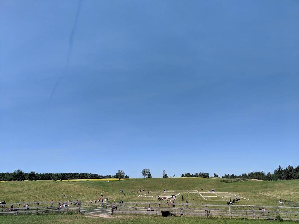 Will OWind Farm | 874456 5 Line E, Mono, ON L9W 6M4, Canada | Phone: (519) 941-5528