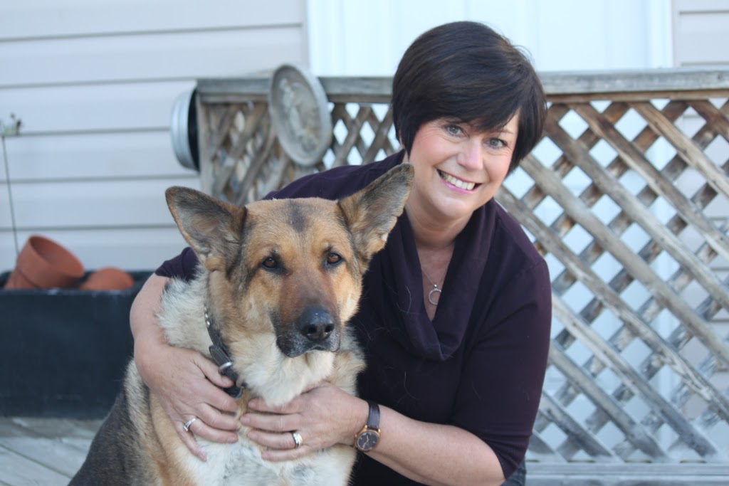 Niagara Canine Conditioning Centre | 5A-188 Bunting Rd, St. Catharines, ON L2M 3Y1, Canada | Phone: (289) 362-5900