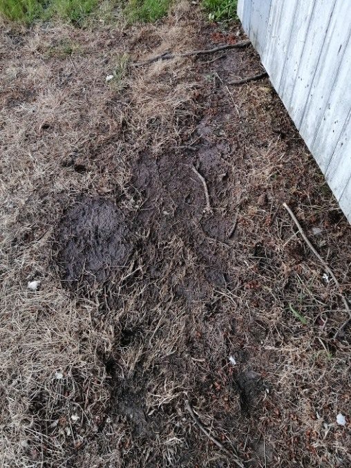 Save-On Septic Services Ltd | 2753 Charlotte Rd, Duncan, BC V9L 5J2, Canada | Phone: (250) 474-7867