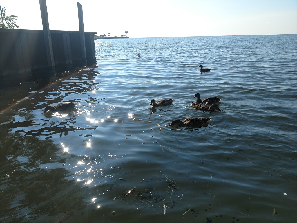 DNR Boat Launch | 27235 Ballard St, Harrison Charter Township, MI 48045, USA | Phone: (586) 463-4165